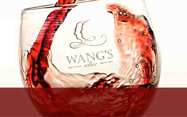 专业宠物服饰品牌