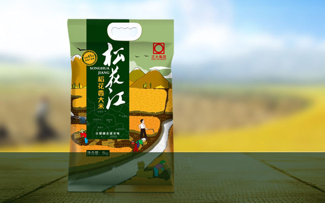 专业宠物服饰品牌