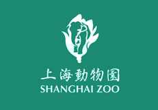 媒体对象